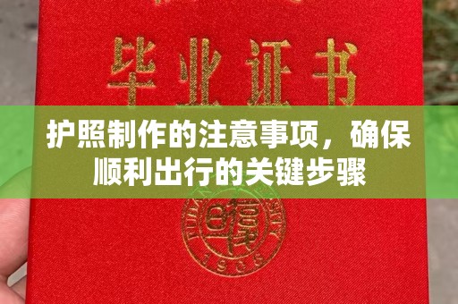 泰州护照制作的注意事项，确保顺利出行的关键步骤