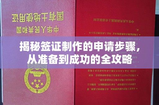 泰州揭秘签证制作的申请步骤，从准备到成功的全攻略