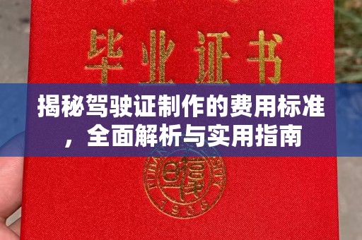 泰州揭秘驾驶证制作的费用标准，全面解析与实用指南