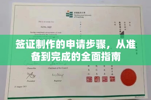 泰州签证制作的申请步骤，从准备到完成的全面指南