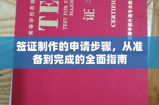泰州签证制作的申请步骤，从准备到完成的全面指南