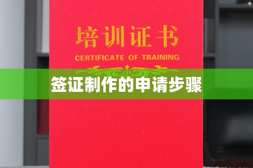 泰州签证制作的申请步骤