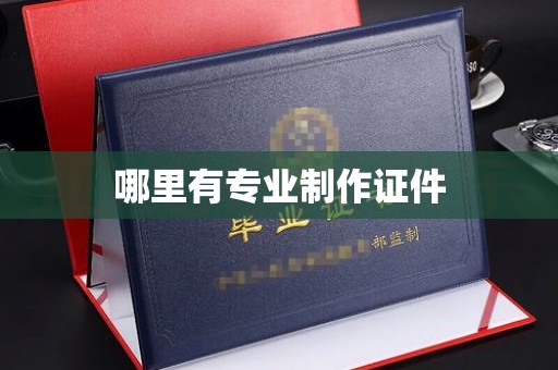 泰州哪里有专业制作证件