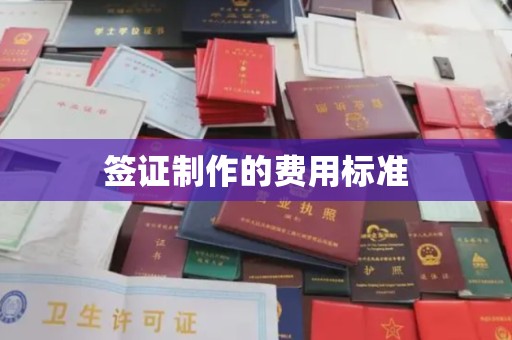 泰州签证制作的费用标准
