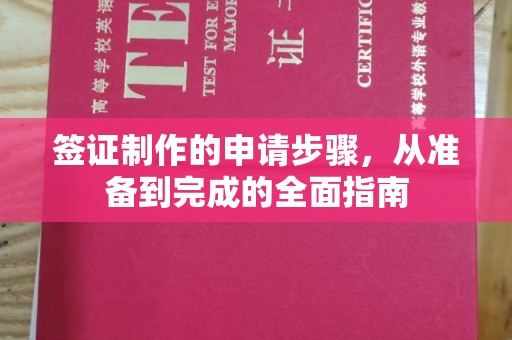 泰州签证制作的申请步骤，从准备到完成的全面指南