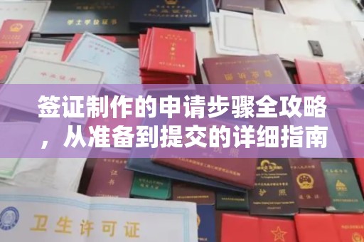 泰州签证制作的申请步骤全攻略，从准备到提交的详细指南