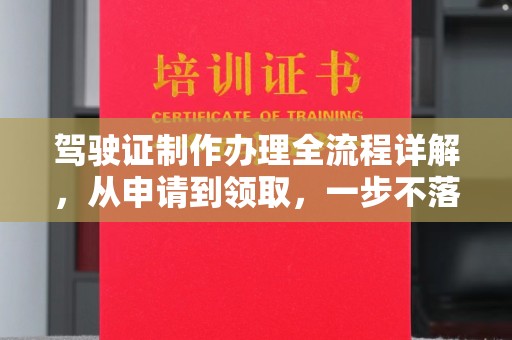 泰州驾驶证制作办理全流程详解，从申请到领取，一步不落